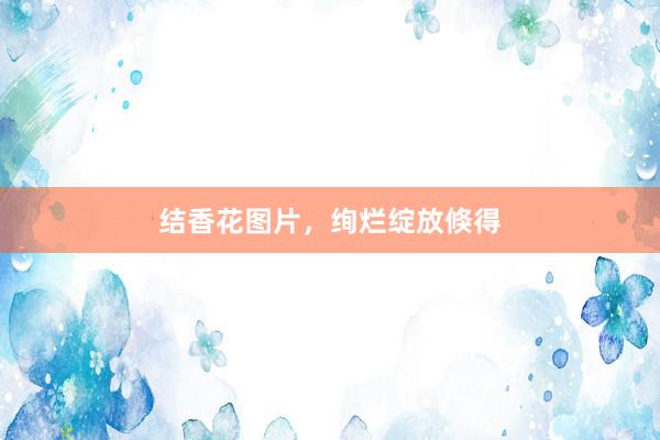 结香花图片，绚烂绽放倏得