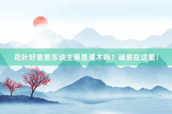 花叶好意思东谈主蕉是灌木吗？谜底在这里！