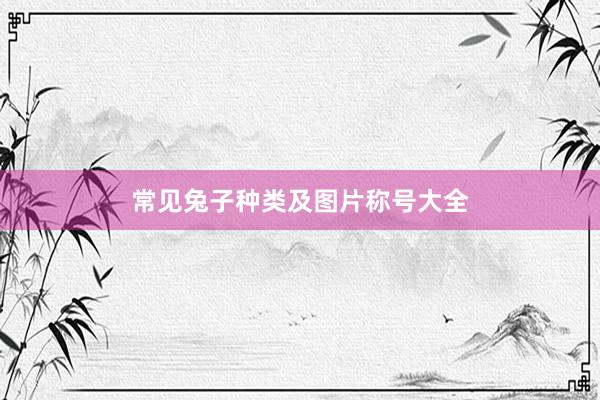 常见兔子种类及图片称号大全